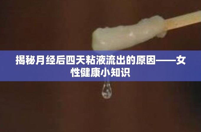 揭秘月經(jīng)后四天粘液流出的原因——女性健康小知識
