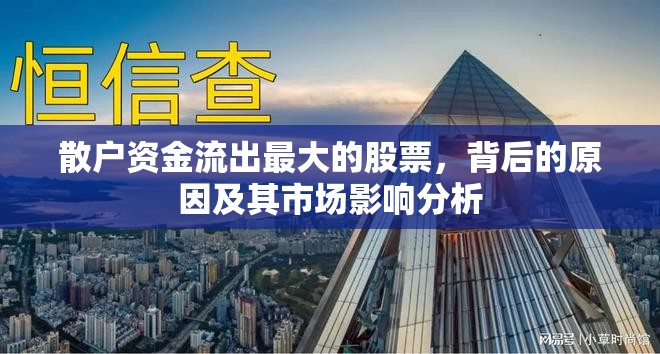 散戶資金流出最大的股票，背后的原因及其市場影響分析