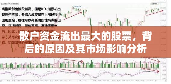 散戶資金流出最大的股票，背后的原因及其市場影響分析