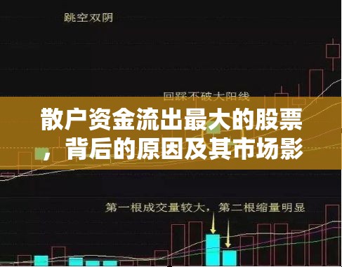 散戶資金流出最大的股票，背后的原因及其市場影響分析