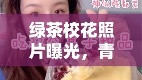 綠茶校花照片曝光，青春、美貌與網(wǎng)絡(luò)風(fēng)波的交織