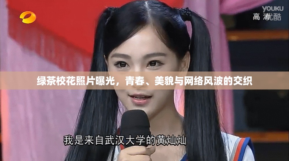 綠茶?；ㄕ掌毓猓啻?、美貌與網(wǎng)絡(luò)風(fēng)波的交織