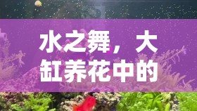水之舞，大缸養(yǎng)花中的水循環(huán)藝術(shù)