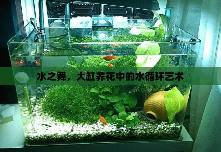 水之舞，大缸養(yǎng)花中的水循環(huán)藝術(shù)
