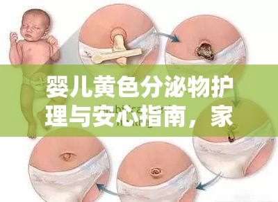 嬰兒黃色分泌物護(hù)理與安心指南，家長必讀