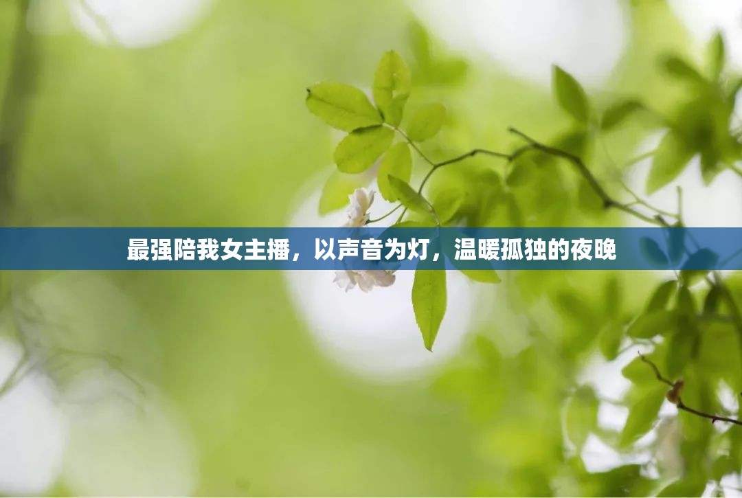 最強(qiáng)陪我女主播，以聲音為燈，溫暖孤獨(dú)的夜晚