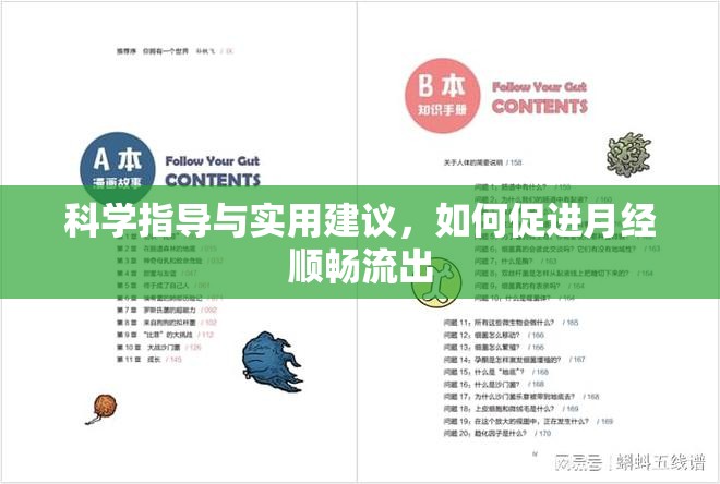科學(xué)指導(dǎo)與實(shí)用建議，如何促進(jìn)月經(jīng)順暢流出