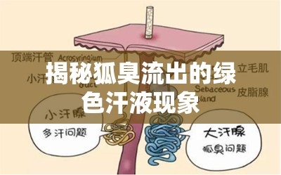 揭秘狐臭流出的綠色汗液現(xiàn)象