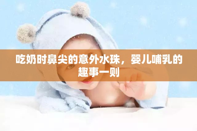 吃奶時(shí)鼻尖的意外水珠，嬰兒哺乳的趣事一則