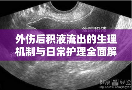 外傷后積液流出的生理機(jī)制與日常護(hù)理全面解析