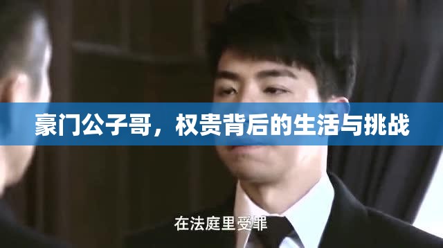 豪門公子哥，權(quán)貴背后的生活與挑戰(zhàn)