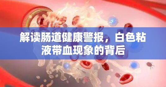 解讀腸道健康警報(bào)，白色粘液帶血現(xiàn)象的背后