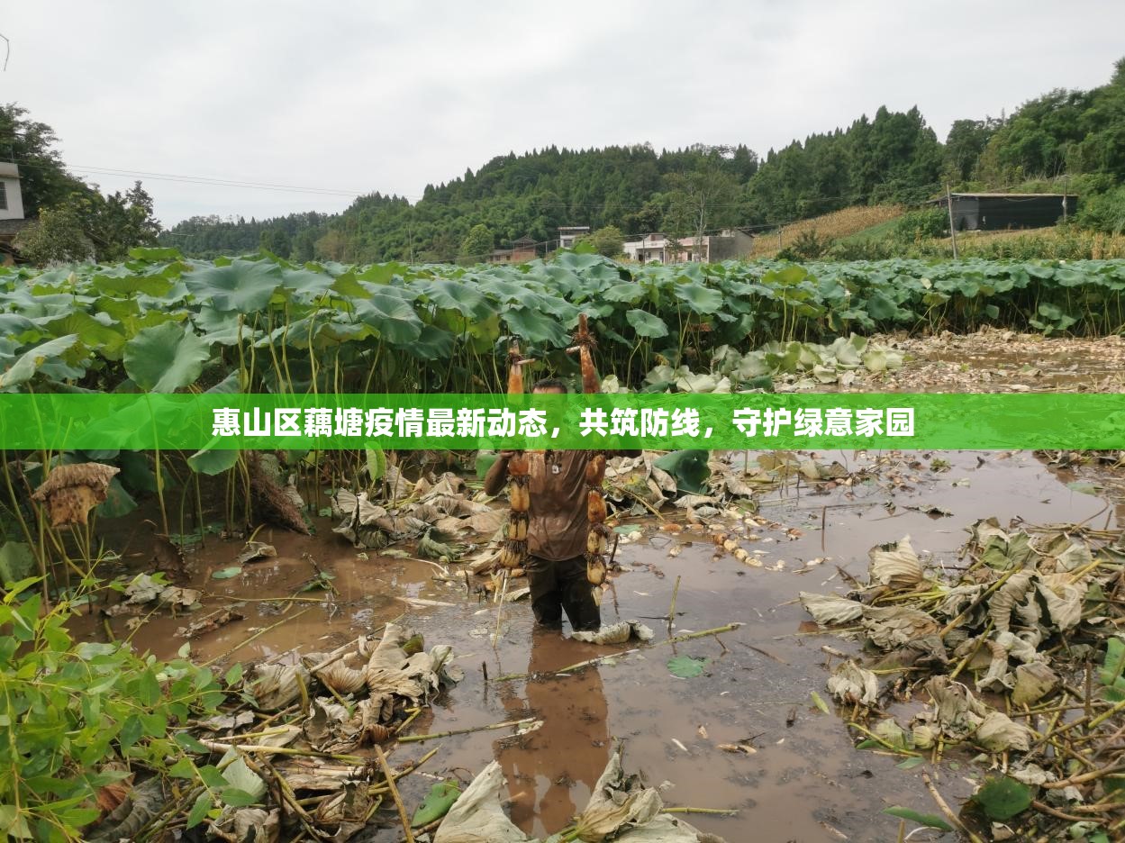 惠山區(qū)藕塘疫情最新動(dòng)態(tài)，共筑防線，守護(hù)綠意家園