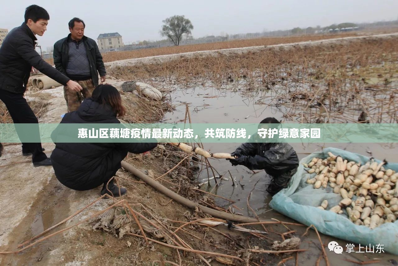 惠山區(qū)藕塘疫情最新動(dòng)態(tài)，共筑防線，守護(hù)綠意家園