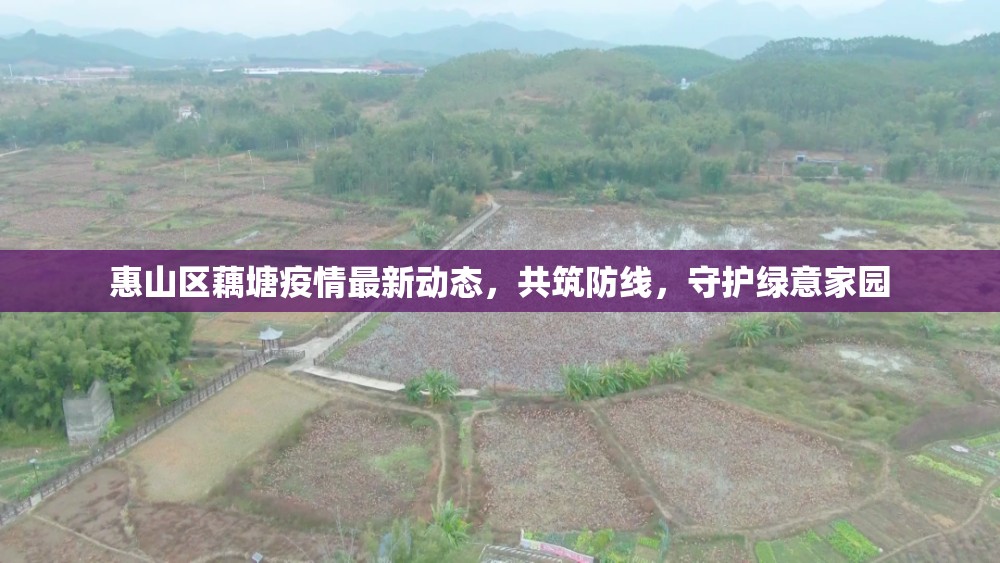 惠山區(qū)藕塘疫情最新動(dòng)態(tài)，共筑防線，守護(hù)綠意家園