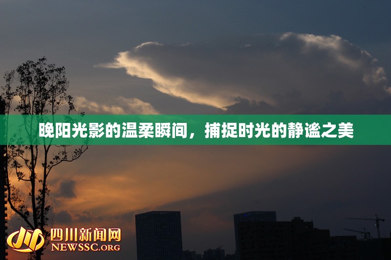 晚陽(yáng)光影的溫柔瞬間，捕捉時(shí)光的靜謐之美