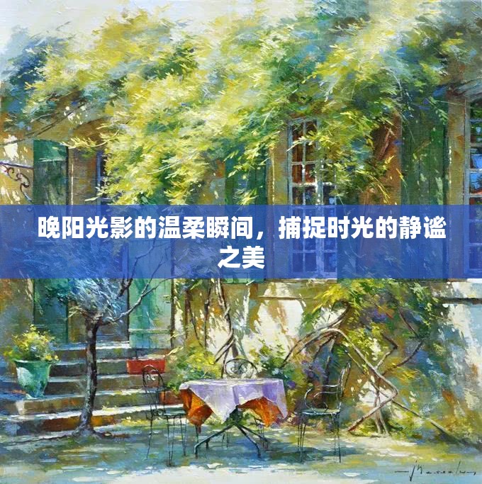 晚陽(yáng)光影的溫柔瞬間，捕捉時(shí)光的靜謐之美