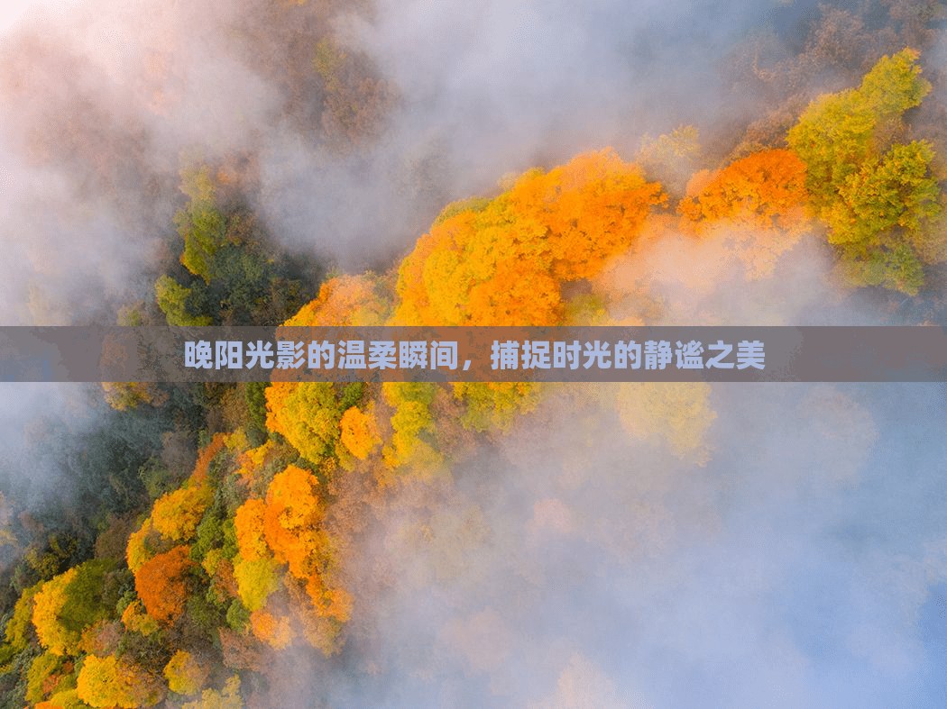 晚陽(yáng)光影的溫柔瞬間，捕捉時(shí)光的靜謐之美