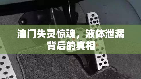 油門(mén)失靈驚魂，液體泄漏背后的真相