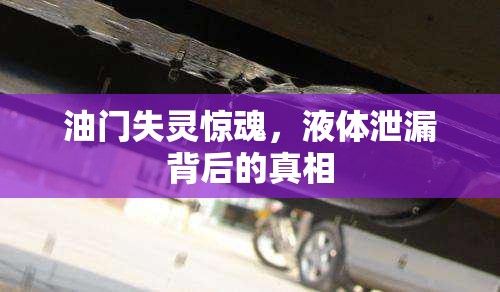 油門(mén)失靈驚魂，液體泄漏背后的真相