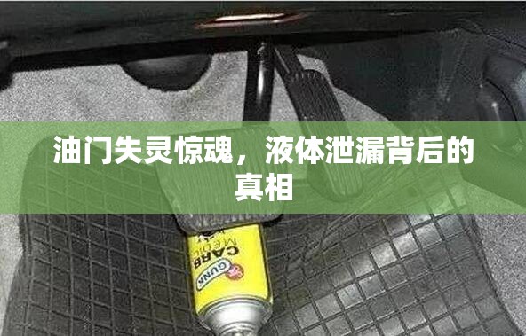 油門(mén)失靈驚魂，液體泄漏背后的真相