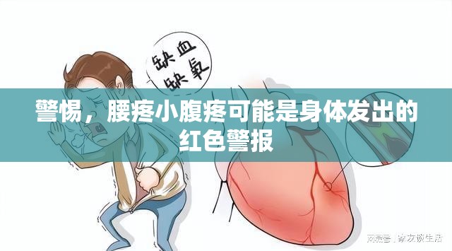 警惕，腰疼小腹疼可能是身體發(fā)出的紅色警報