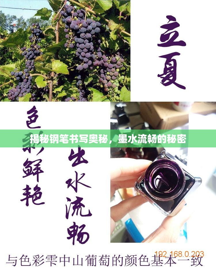 揭秘鋼筆書(shū)寫(xiě)奧秘，墨水流暢的秘密