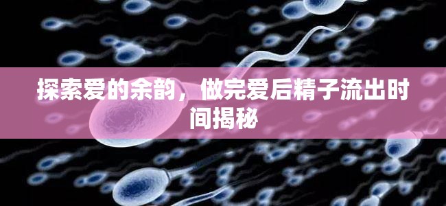 探索愛(ài)的余韻，做完愛(ài)后精子流出時(shí)間揭秘