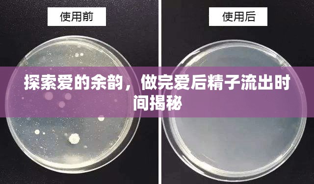 探索愛(ài)的余韻，做完愛(ài)后精子流出時(shí)間揭秘