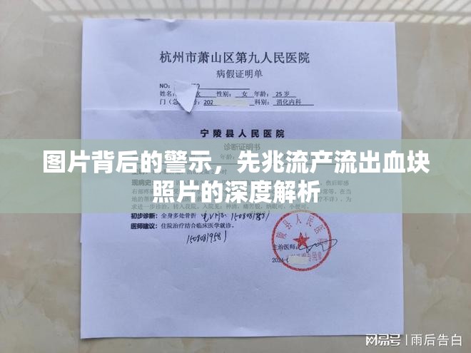 圖片背后的警示，先兆流產(chǎn)流出血塊照片的深度解析
