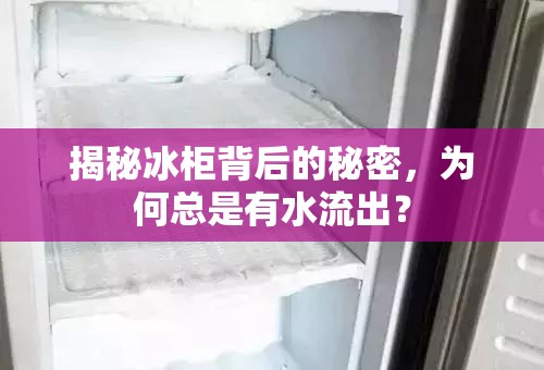 揭秘冰柜背后的秘密，為何總是有水流出？