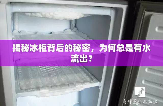 揭秘冰柜背后的秘密，為何總是有水流出？