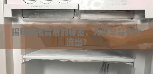 揭秘冰柜背后的秘密，為何總是有水流出？