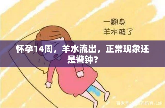 懷孕14周，羊水流出，正常現(xiàn)象還是警鐘？