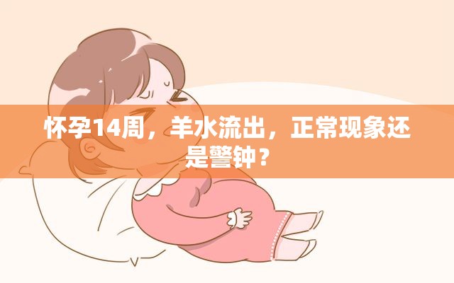懷孕14周，羊水流出，正?，F(xiàn)象還是警鐘？