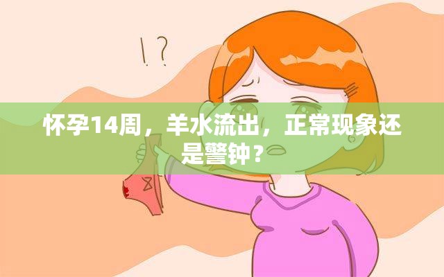 懷孕14周，羊水流出，正?，F(xiàn)象還是警鐘？