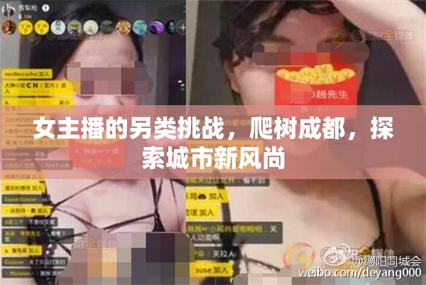 女主播的另類挑戰(zhàn)，爬樹成都，探索城市新風尚