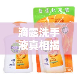 滴露洗手液真相揭秘，事實與誤解的較量