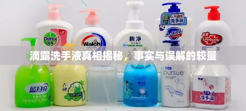 滴露洗手液真相揭秘，事實與誤解的較量