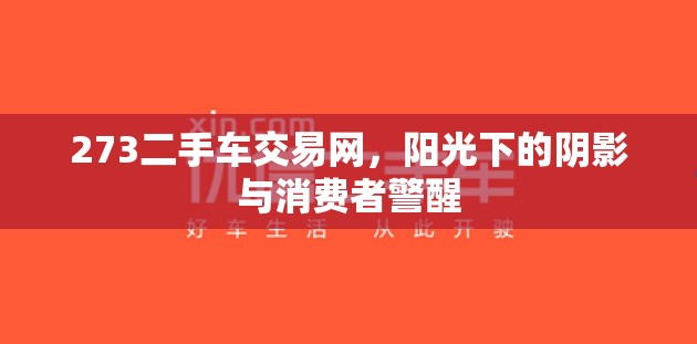 273二手車交易網(wǎng)，陽光下的陰影與消費(fèi)者警醒