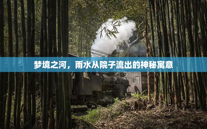 夢(mèng)境之河，雨水從院子流出的神秘寓意