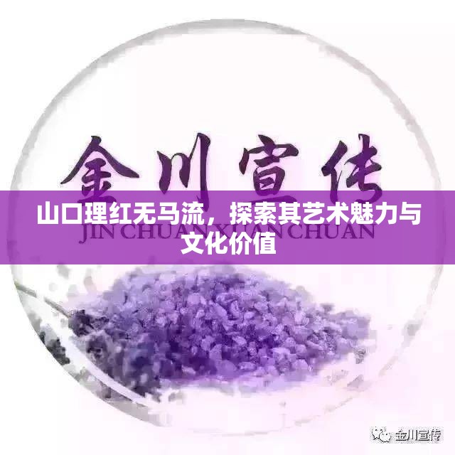 山口理紅無馬流，探索其藝術(shù)魅力與文化價(jià)值