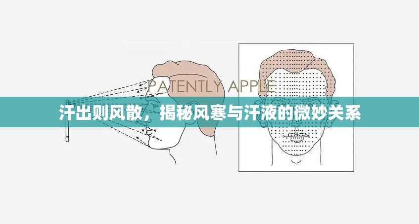 汗出則風(fēng)散，揭秘風(fēng)寒與汗液的微妙關(guān)系