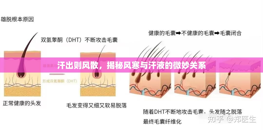 汗出則風(fēng)散，揭秘風(fēng)寒與汗液的微妙關(guān)系