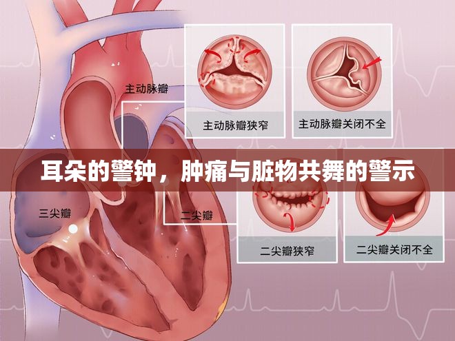 耳朵的警鐘，腫痛與臟物共舞的警示