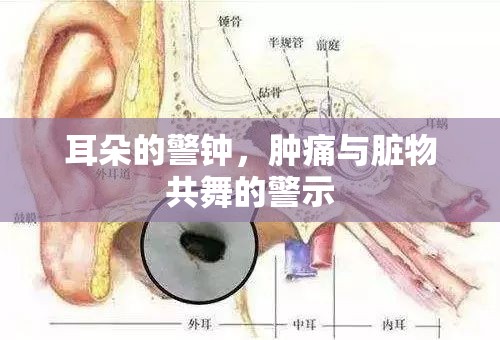 耳朵的警鐘，腫痛與臟物共舞的警示