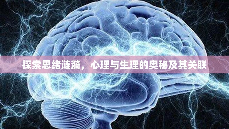 探索思緒漣漪，心理與生理的奧秘及其關(guān)聯(lián)