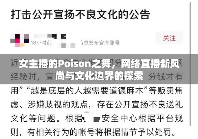 女主播的Poison之舞，網(wǎng)絡(luò)直播新風(fēng)尚與文化邊界的探索