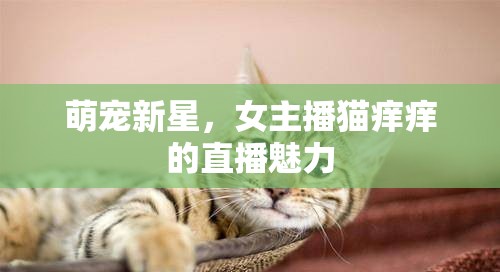 萌寵新星，女主播貓癢癢的直播魅力