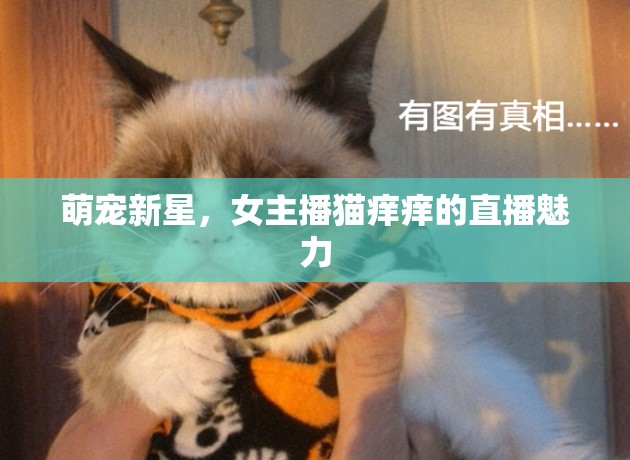 萌寵新星，女主播貓癢癢的直播魅力